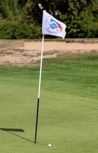 Golf Course Flag